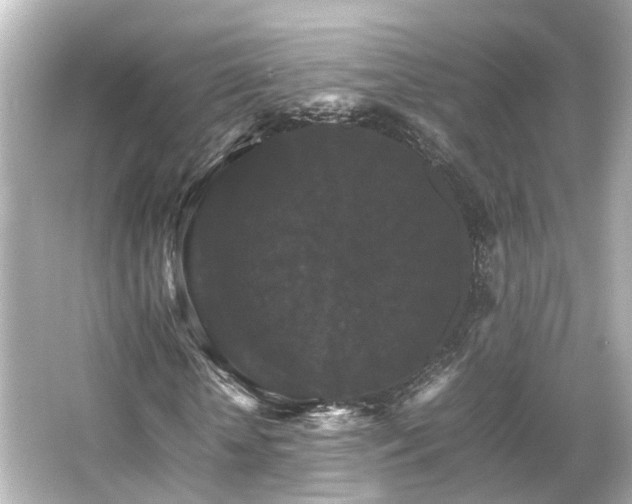 X0000066540818200603201423