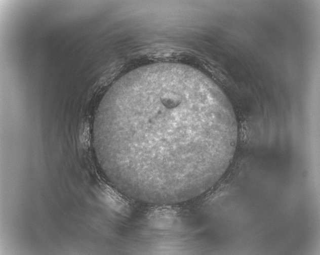 X0000066540820200603201423