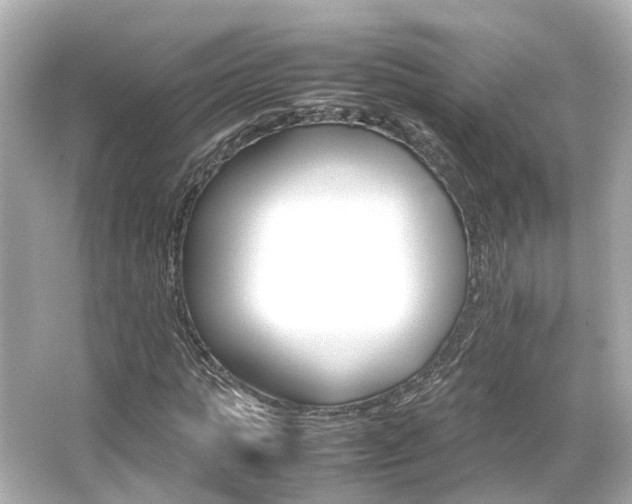 X0000066540821200603201423