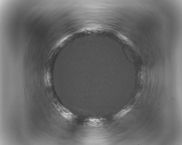 X0000066540822200603201423