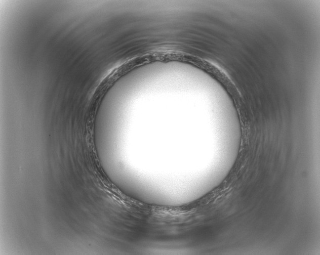 X0000066540823200603201423