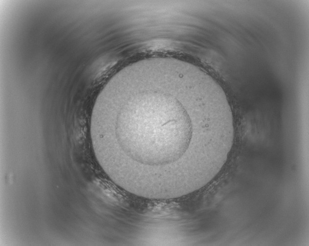 X0000066540824200603201423