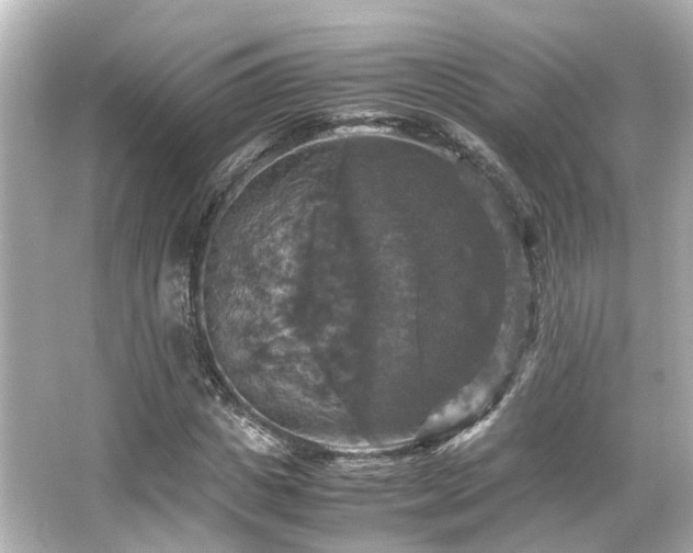 X0000066540825200603201423