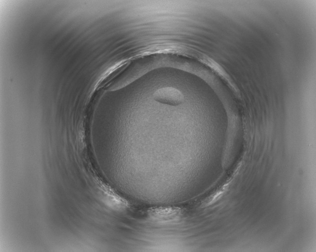 X0000066540826200603201423