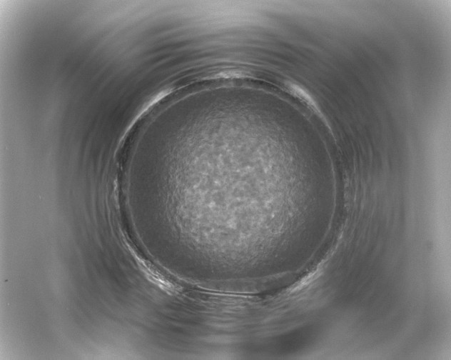 X0000066540827200603201423