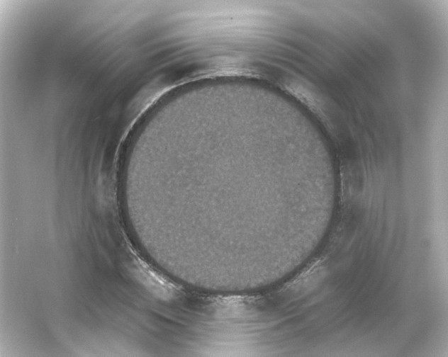 X0000066540828200603201423