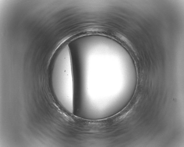 X0000066540829200603201423