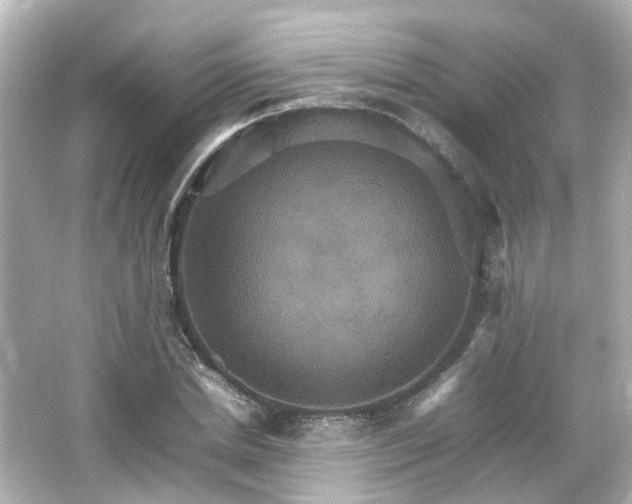 X0000066540830200603201423