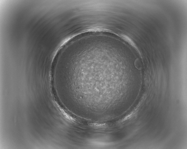 X0000066540831200603201423