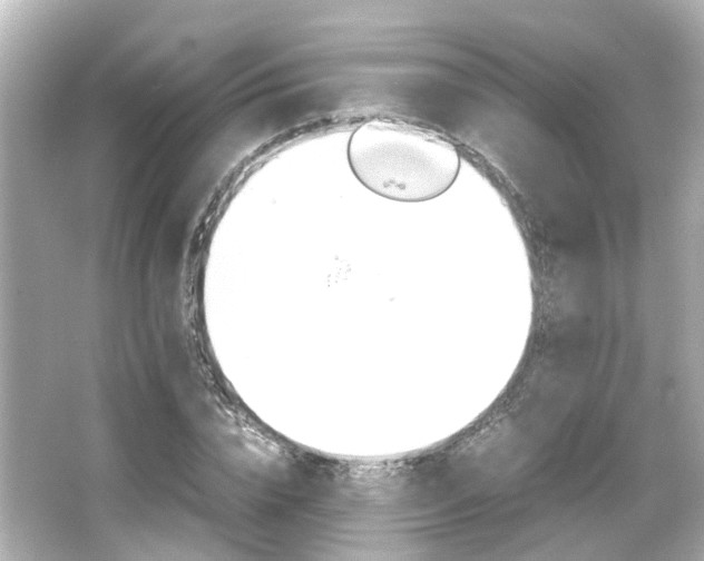 X0000066540832200603201423