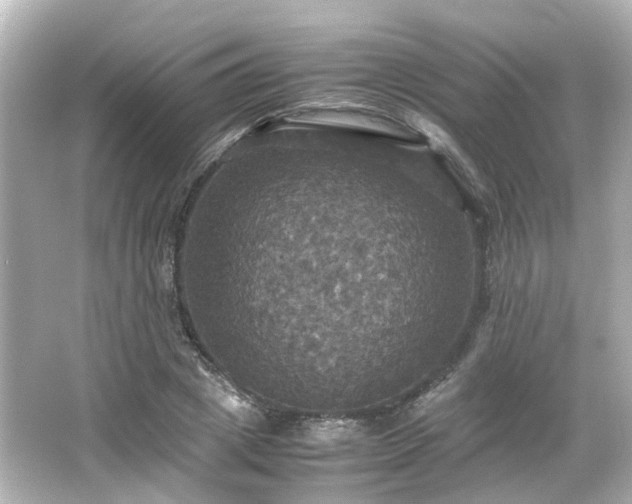 X0000066540833200603201423