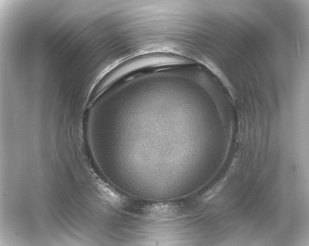 X0000066540834200603201423