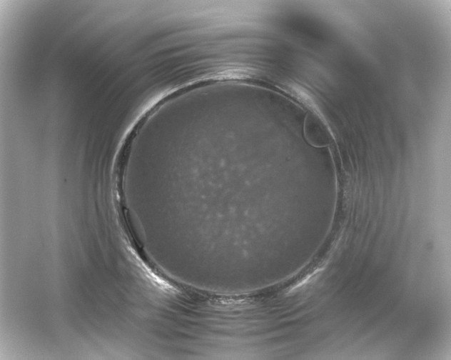 X0000066540835200603201423