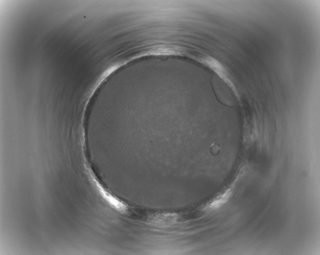 X0000066540837200603201423