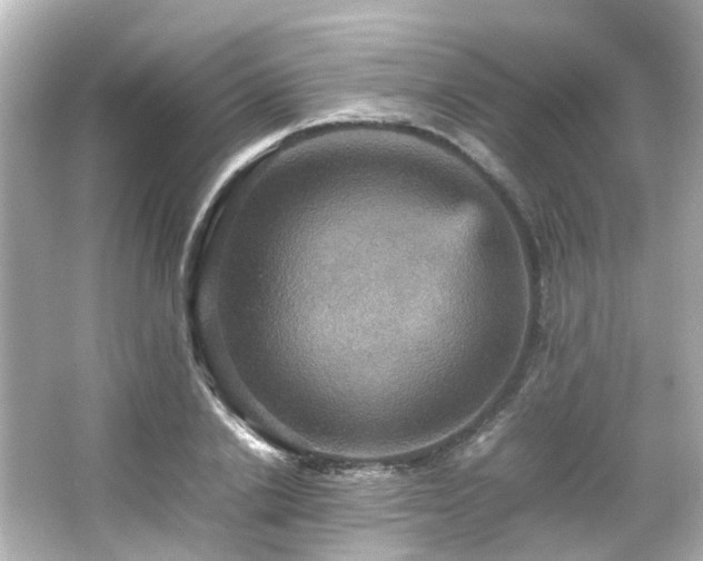 X0000066540838200603201423