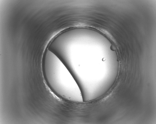 X0000066540839200603201423