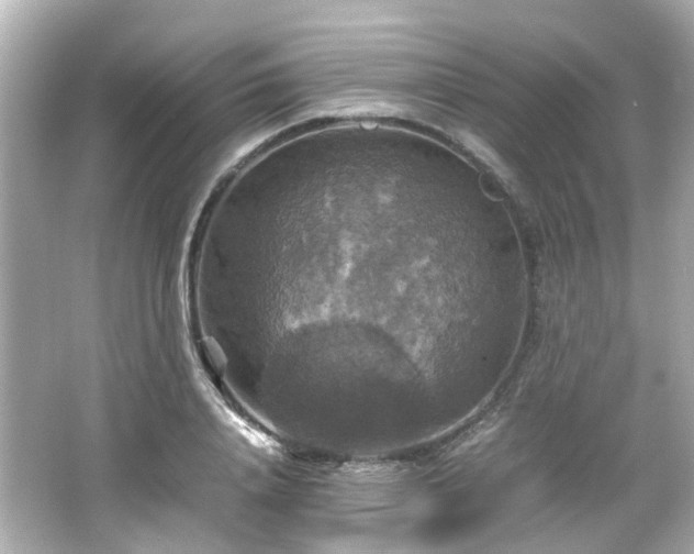 X0000066540840200603201423