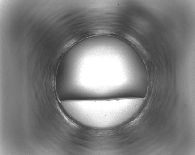 X0000066540841200603201423