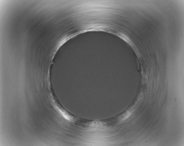 X0000066540842200603201424