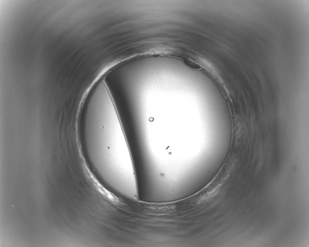 X0000066540843200603201424