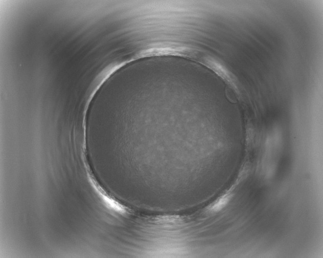 X0000066540844200603201424