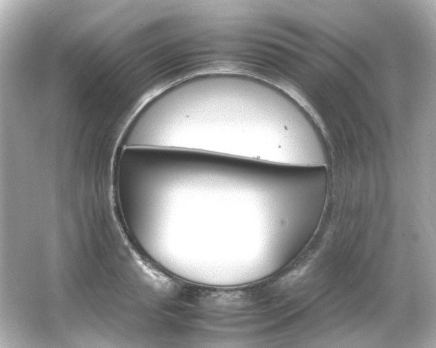 X0000066540845200603201424