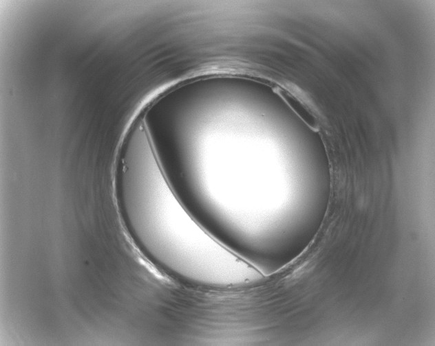 X0000066540846200603201424