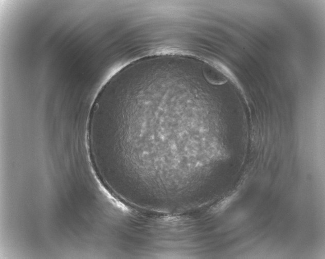 X0000066540847200603201424