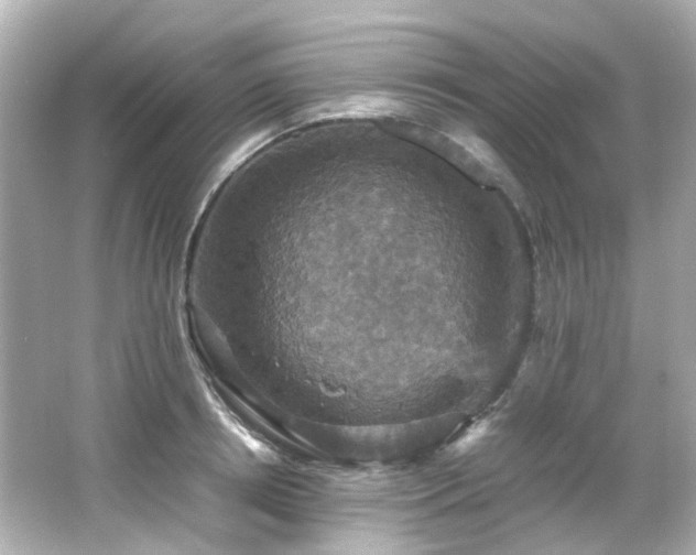 X0000066540850200603201424