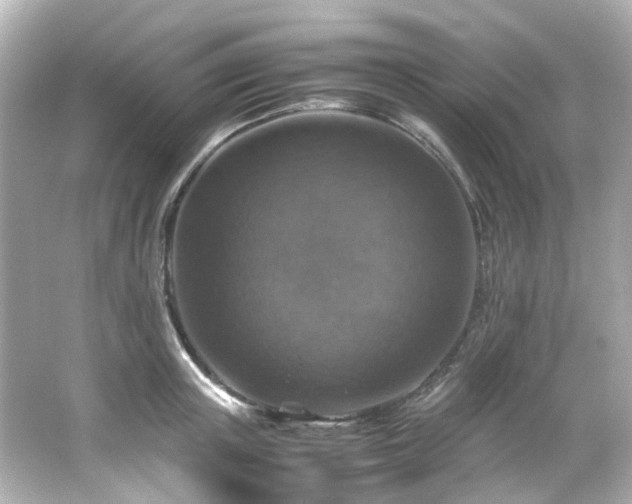 X0000066540851200603201424