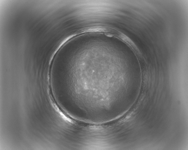 X0000066540852200603201424