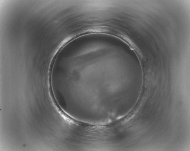 X0000066540853200603201424