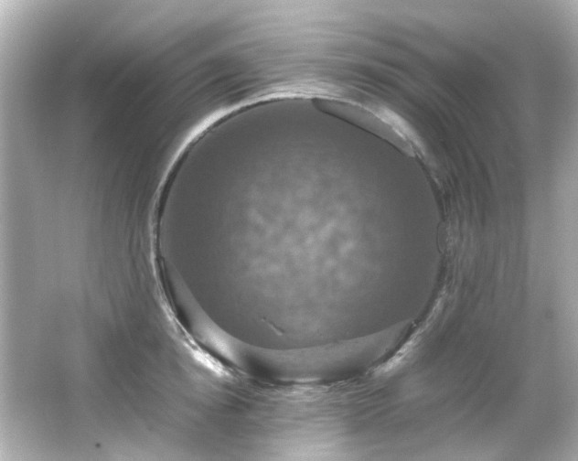 X0000066540854200603201424