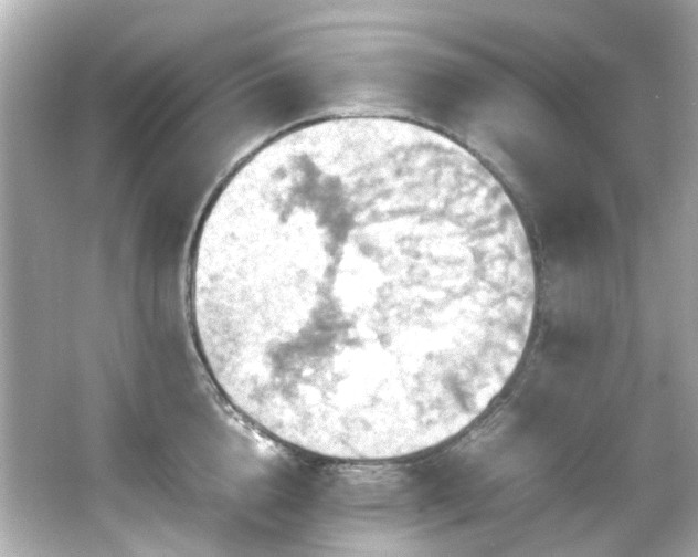 X0000066540856200603201424