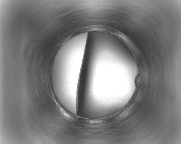 X0000066540857200603201424