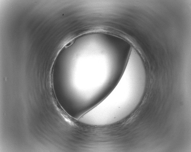 X0000066540858200603201424