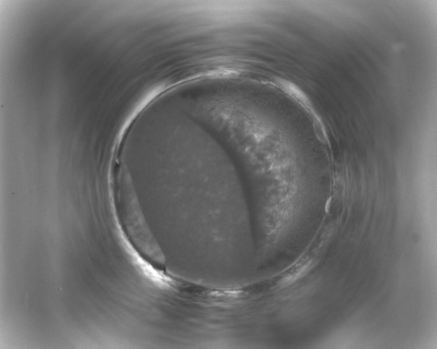 X0000066540859200603201424