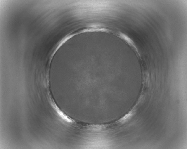 X0000066540860200603201424