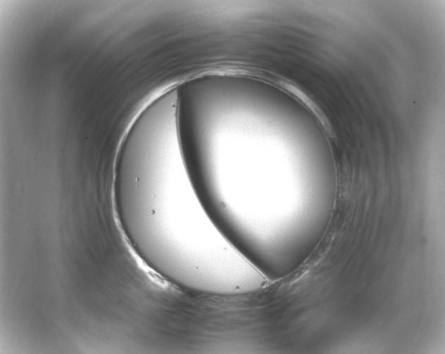 X0000066540861200603201424