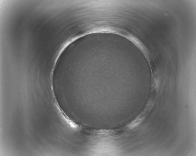 X0000066540862200603201424