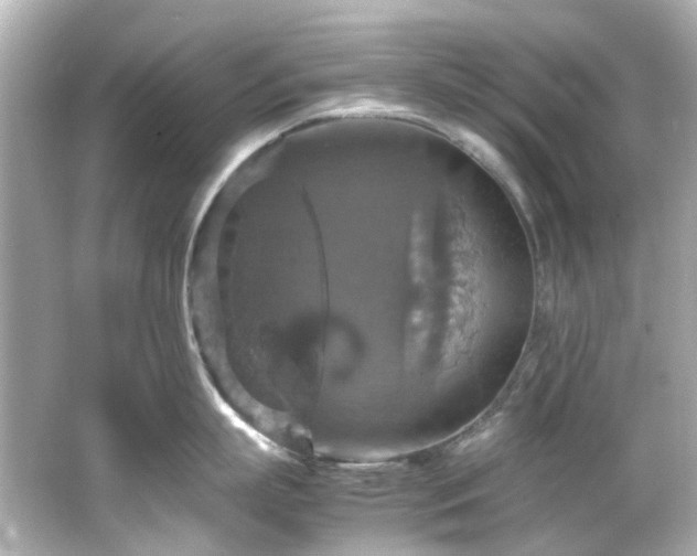 X0000066540863200603201424