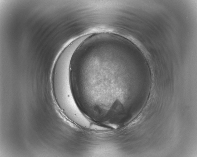 X0000066540864200603201424