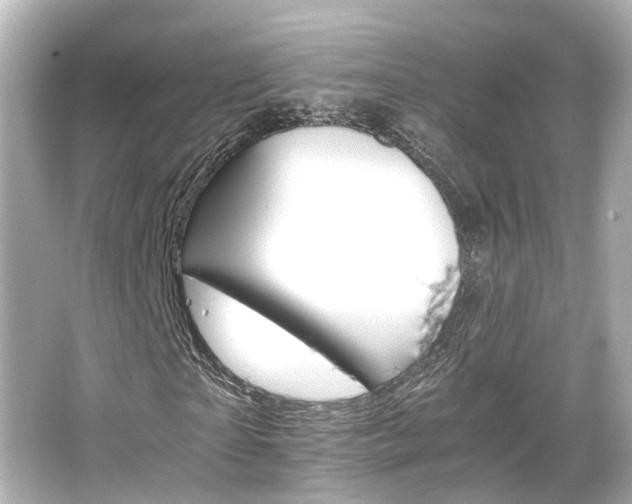 X0000066540865200603201423