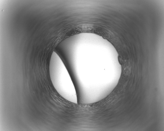 X0000066540866200603201423