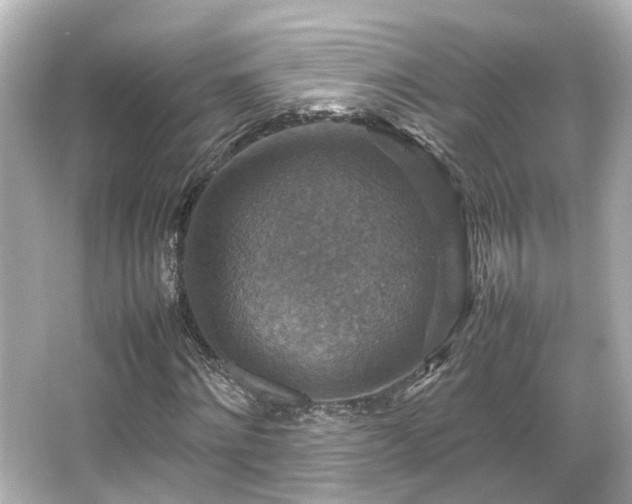 X0000066540868200603201423