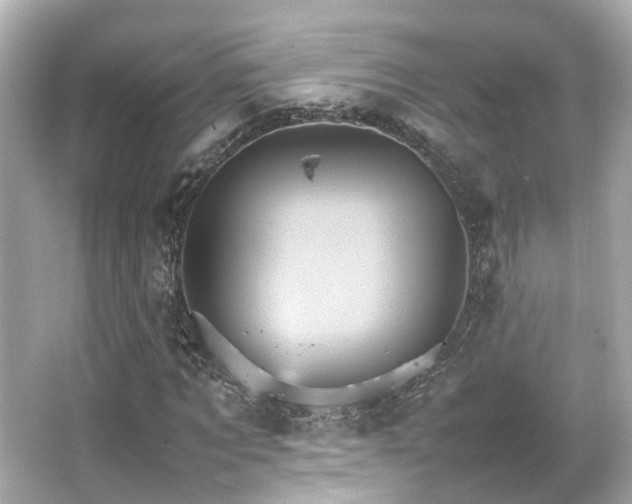 X0000066540869200603201423