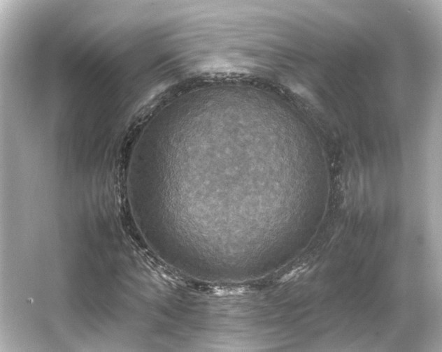 X0000066540870200603201423