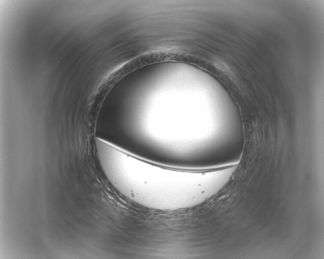 X0000066540872200603201423