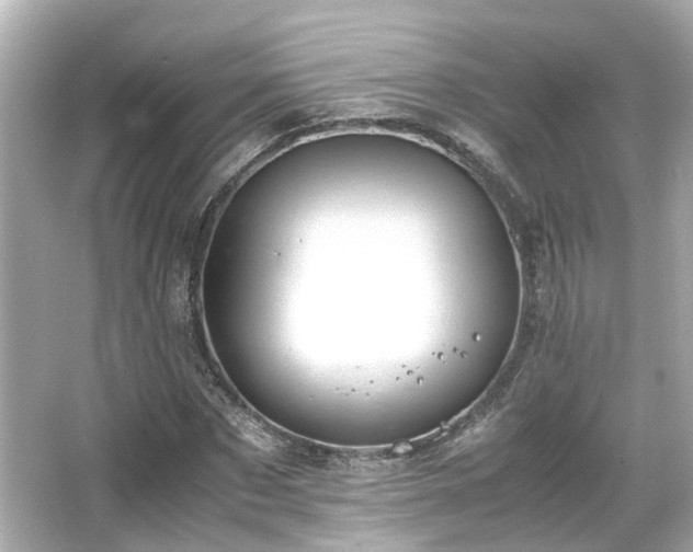 X0000066540873200603201423