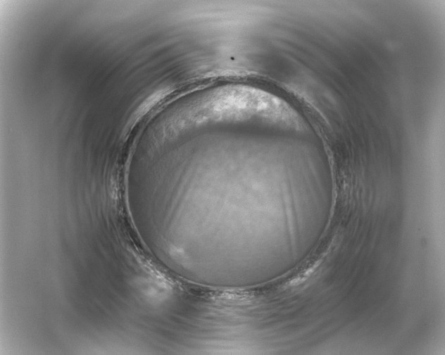 X0000066540874200603201423